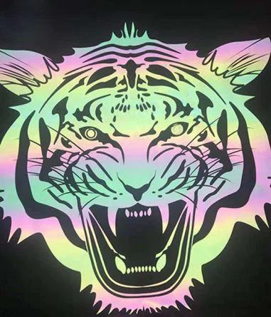Heat Transfer Rainbow Reflective Vinyl